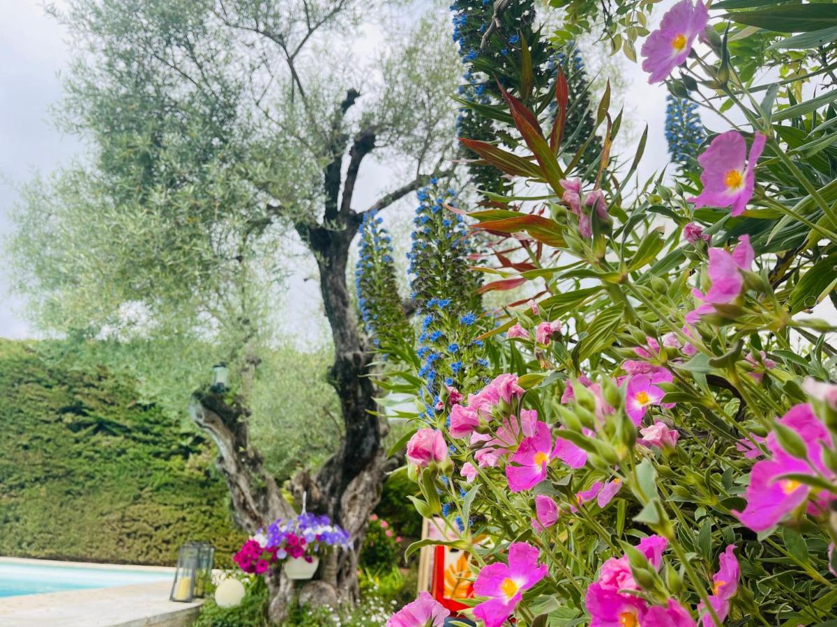 Abeille Bed & Breakfast Ванс Екстериор снимка
