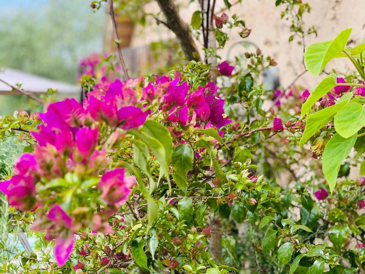 Abeille Bed & Breakfast Ванс Екстериор снимка